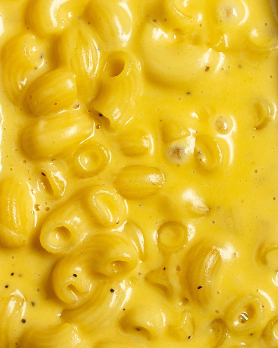 Close-up of macaroni cheese, glossy sauce coating every piece of pasta