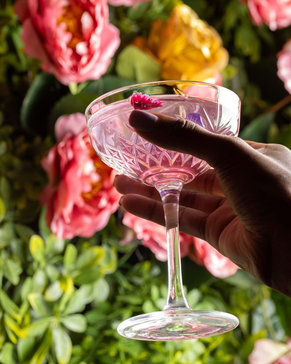 Hand holding a coupe of pink cocktail against a wall of flowers